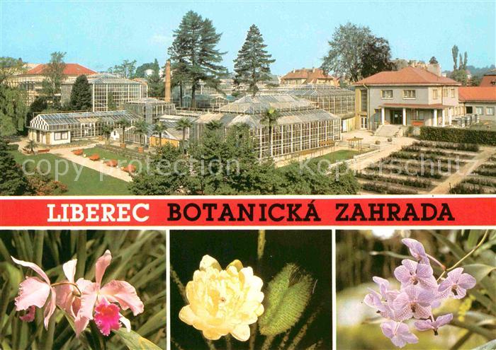 Liberec Botanicka zahrada Cattleya hybr Victoria Regia Vanda Coerulea Botanische