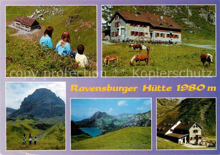 Lech Vorarlberg Ravensburger Huette am Spullersee Haflinger Pferde Alpenpanorama
