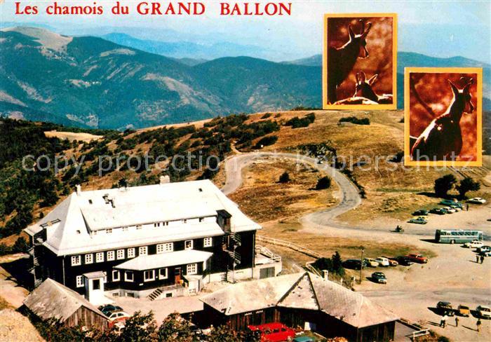 Grand Ballon Hotel des chamois des Vosges Berghotel Grosser Belchen Gaemsen Voge
