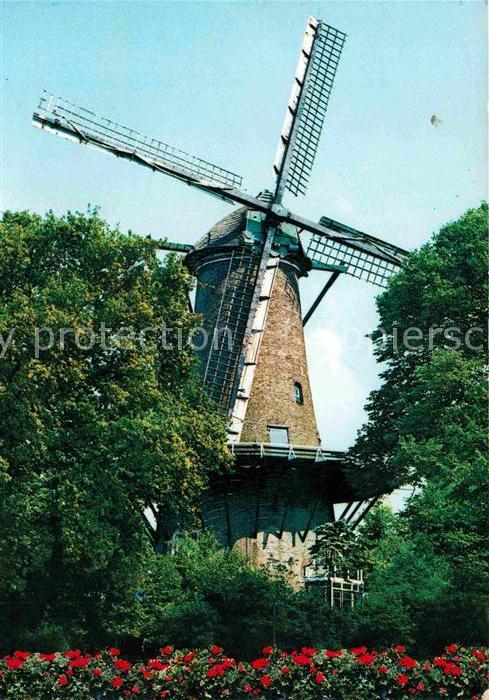 Alkmaar Molen van Piet Windmuehle