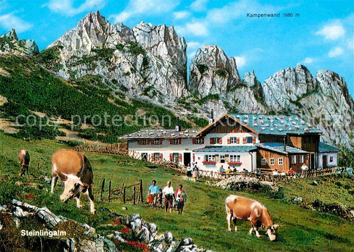 Kampenwand Chiemgau Steinlingalm Kuehe