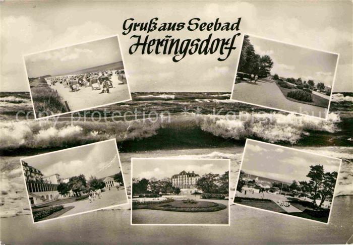 Heringsdorf Ostseebad Usedom Park Strand Brandung