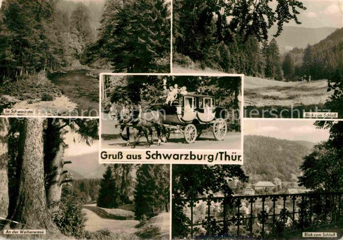 Schwarzburg Thueringer Wald Schwarztal Weiherwiese Blick vom Schloss