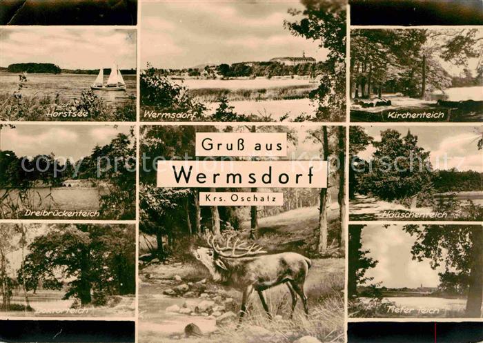 Wermsdorf Horstsee Wermsdorf Kirchenteich Dreibrueckenteich