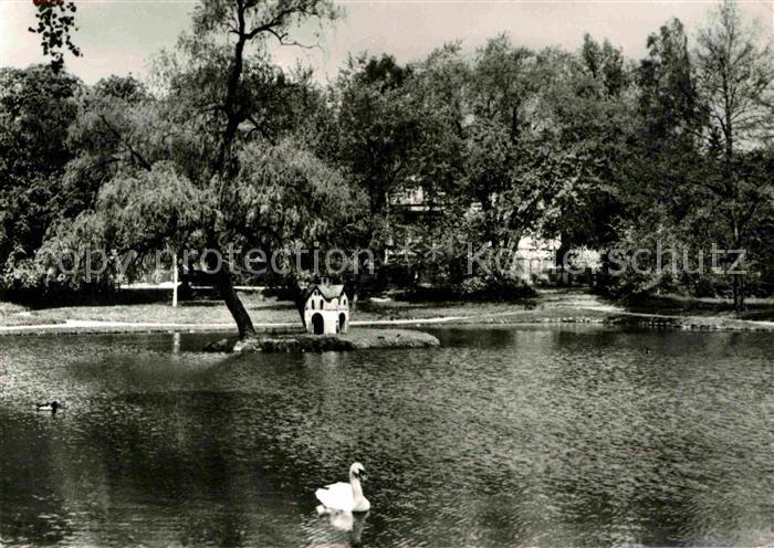 Bad Lausick Schwanenteich