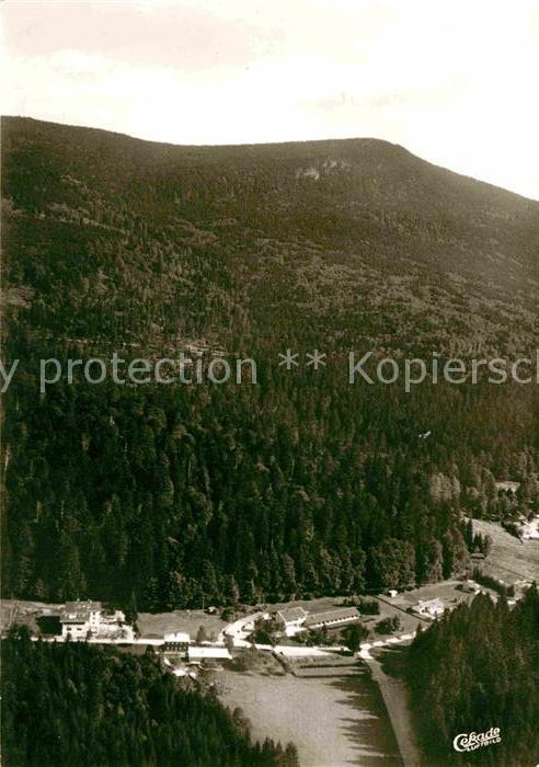 Zwieslerwaldhaus Pension Naturpark Restaurant