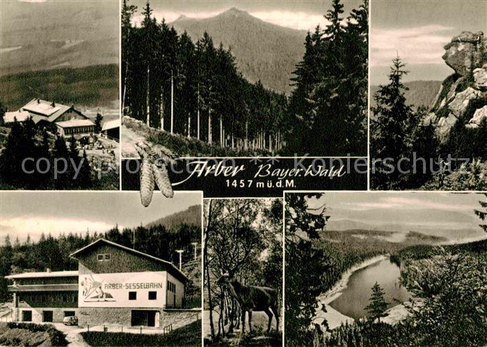 Arber Sesselbahn Panorama HirschSchutzhaus