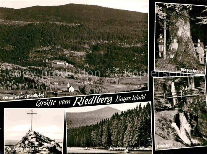 Riedlberg Riesentanne Panorama Gipofelkreuz Hochfall