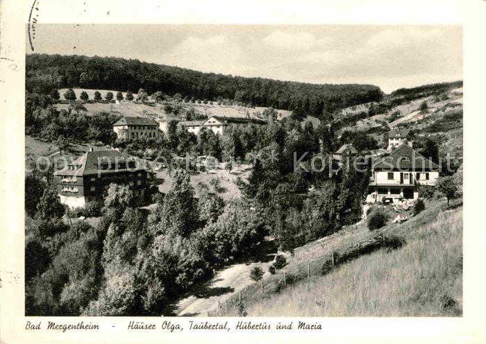Bad Mergentheim Haeuser Olga Taubertal Hubertus und Maria