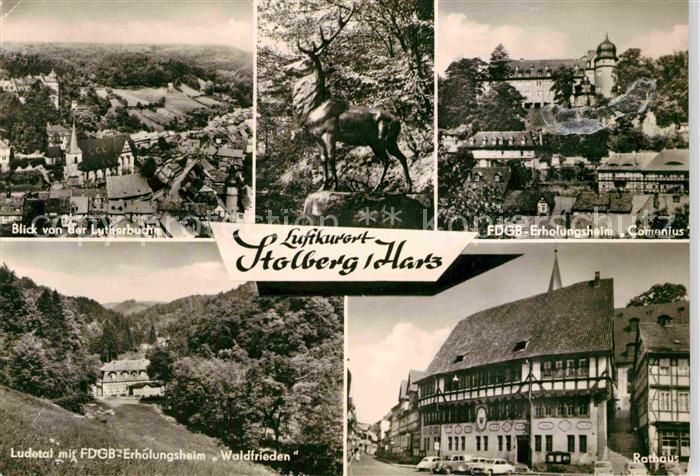 Stolberg Harz Panorama Blick von der Lutherbuche Hirsch FDGB Erholungsheime Lude