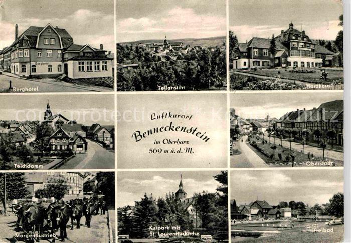 Benneckenstein Harz Berghotel Harzhaus Oberstadt Teichdamm Viehaustrieb Kurpark