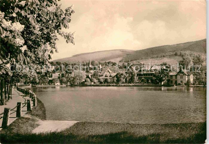 Ilsenburg Harz Forellenteich