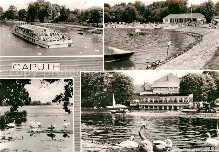 Caputh Ausflugsdampfer Schwaene Badestrand Gaststaette