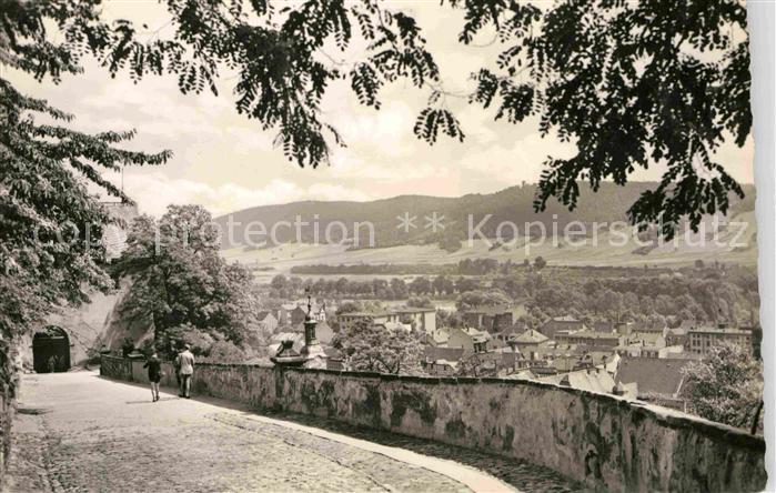 Rudolstadt Panorama Blick vom Schlossaufgang