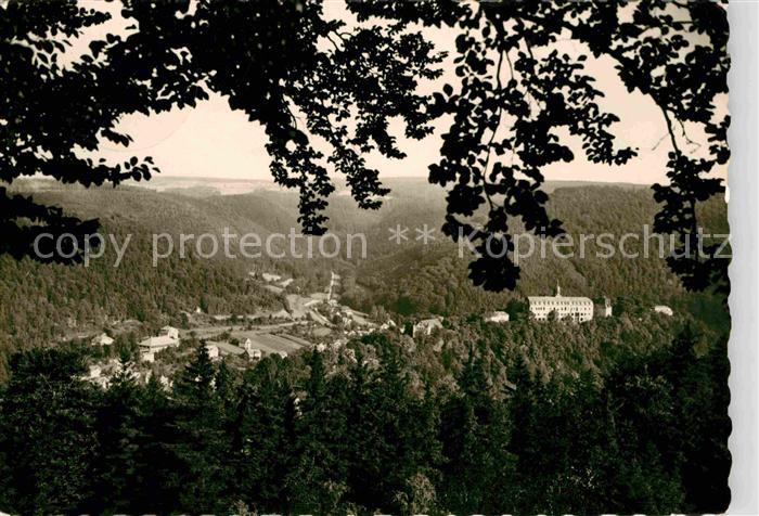 Schwarzburg Thueringer Wald Panorama Blick vom Taennich