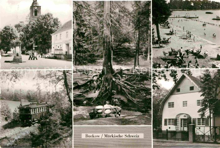 Buckow Maerkische Schweiz Markt Wurzelfichte Strandbad Schermuetzelsee Brecht We