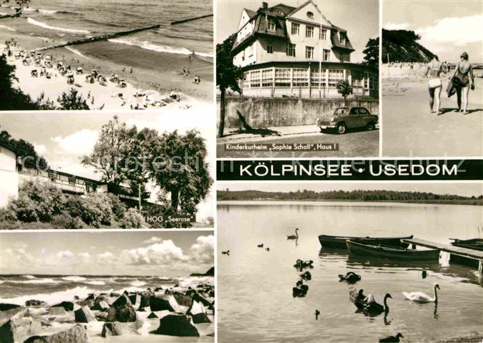 Koelpinsee Usedom Kinderkurheim Sophia Scholl Strand HOG Seerose Schwaene Wasser