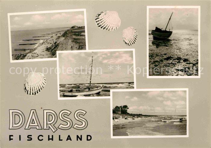 Darss Region Ostsee Fischland Strand Kueste Fischerboot Muscheln