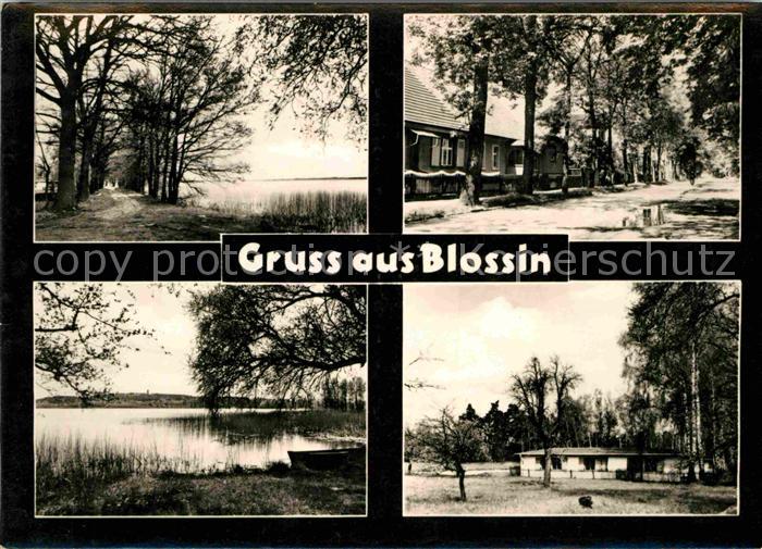 Blossin Teilansichten