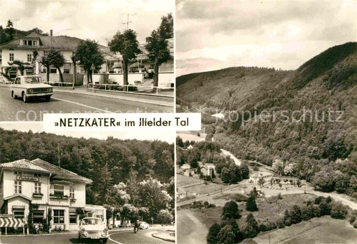 Netzkater im Ilfelder Tal