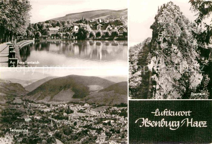 Ilsenburg Harz Forellenbach Ilsestein Panorama