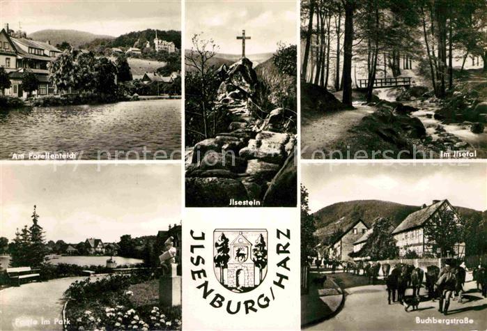 Ilsenburg Harz Forellenteich Ilsestein Ilsetal Partie im park Buchbergstrasse