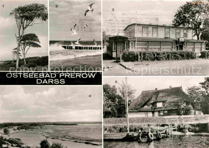 Prerow Ostseebad esperort Strand FDGB Erholungsheim Am Hafen Prerowstrom Krabben