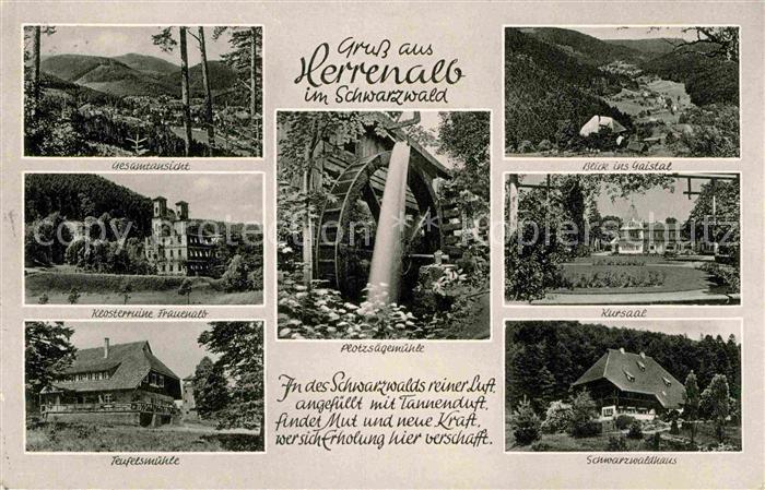 Bad Herrenalb Plotzsaegemuehke Gaistal Kursaal Teufelsmuehle Klosterruine Frauen