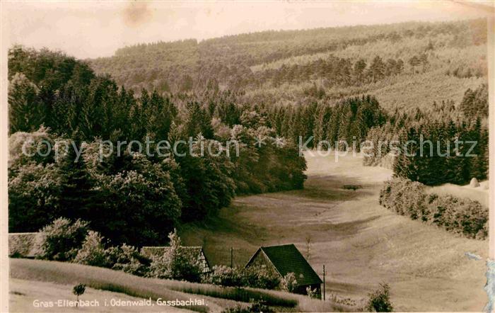 Gras-Ellenbach Gassbachtal