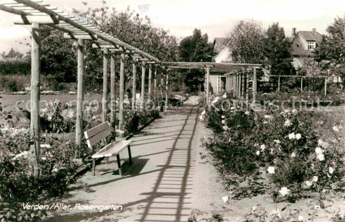 Verden Aller Rosengarten