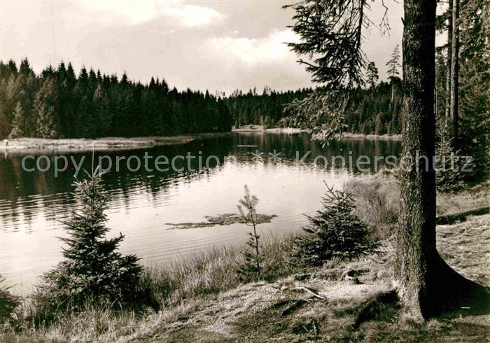 Tannenbergsthal Vogtland Am Vogtlandsee