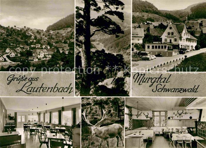 Lautenbach Renchtal Murgtal Gasthaus Pension Lautenfelsen