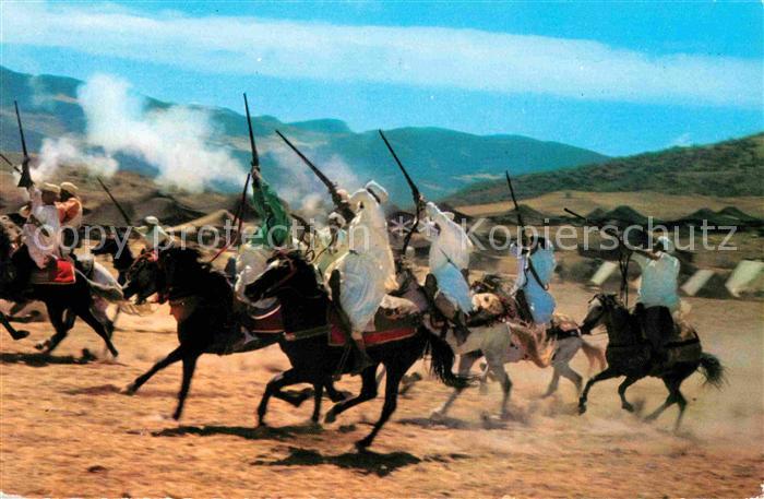 Pferde Fantasia au Maroc