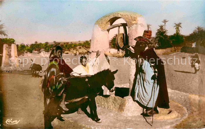 Esel Tiere Puits dans l'Oued
