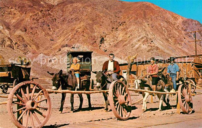 Esel Tiere Calico Burro Ride Ghost Town California Mining Camp