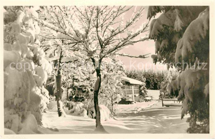 Frauenwald Thueringen Im Lenkgrund Winterpanorama Luftkurort Wintersportplatz