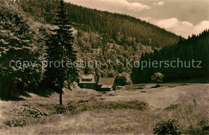 Frauenwald Thueringen Trinkbachtal