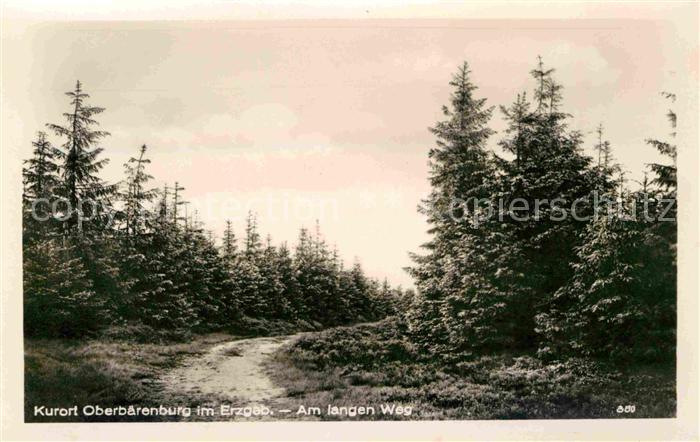 Oberbaerenburg Baerenburg Waldpartie Am langen Weg