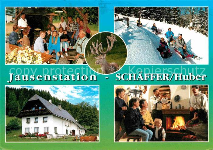 Sankt Lorenzen Muerztal Jausenstation Kaminzimmer Schlittenfahrt Hirsch Wildgehe