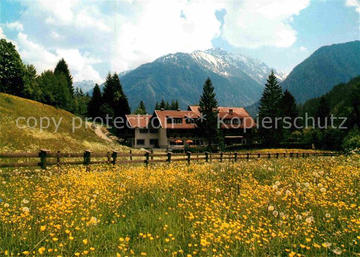 Wald Pinzgau Jagdschloss Graf Recke Sommerwiese Alpenblick