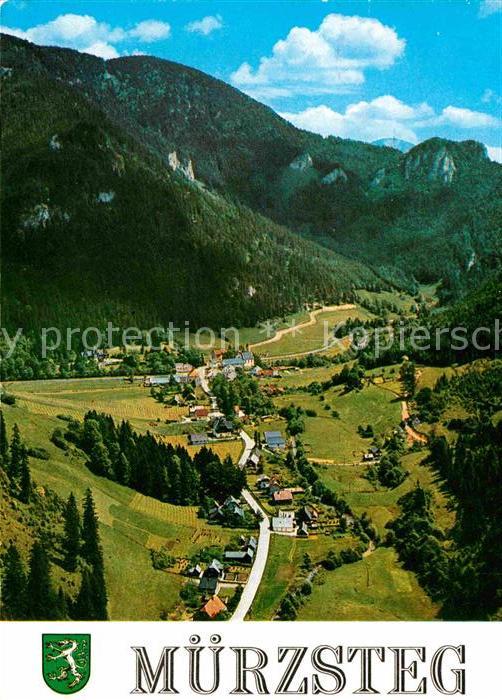Muerzsteg Sommerfrische Alpenpanorama Fliegeraufnahme
