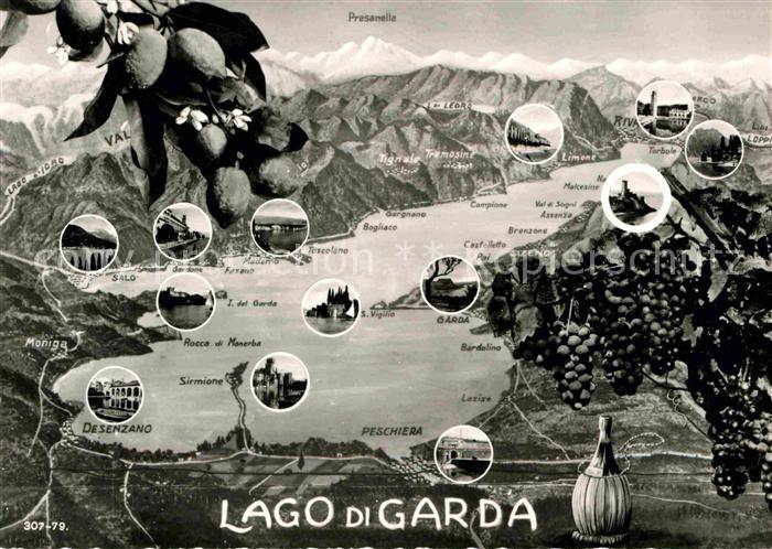 Malcesine Lago di Garda rund um den Gardasee Alpen Weintrauben Zitronen