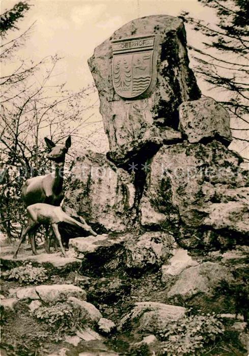 Oberhof Thueringen Hirschgruppe am Dr Kuelz Platz