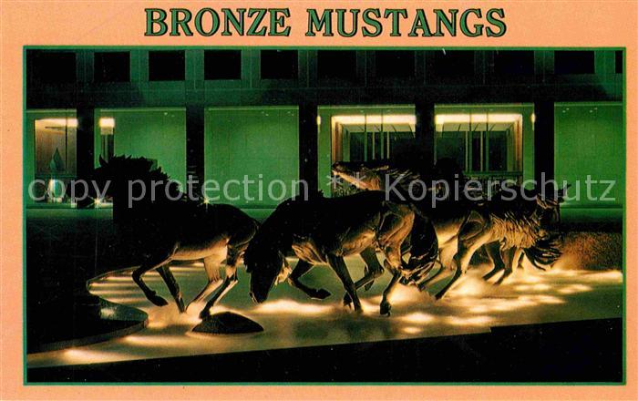 Irving Texas The Bronze Mustangs