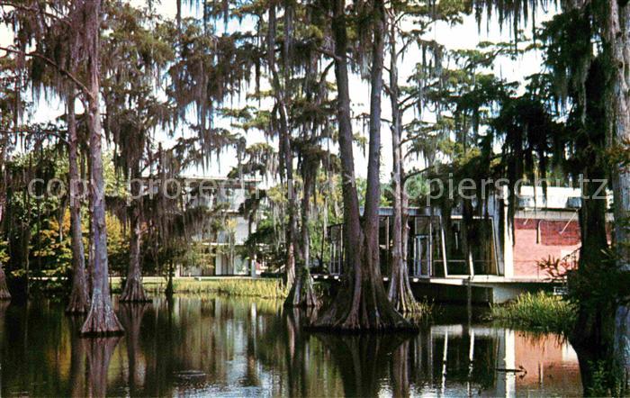Lafayette Louisiana Cypress Lake