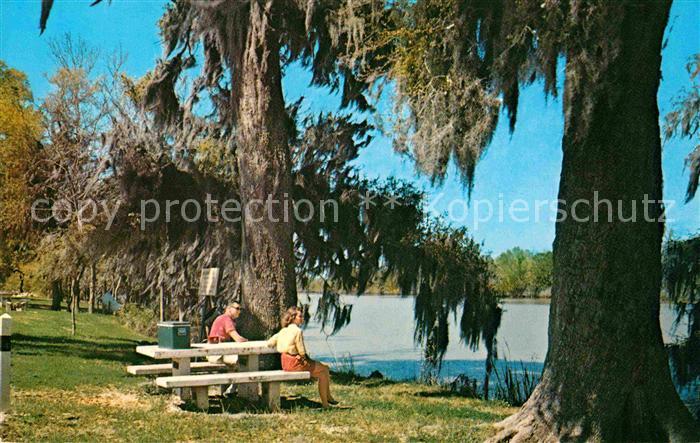 Lovely Louisiana Roadside Park