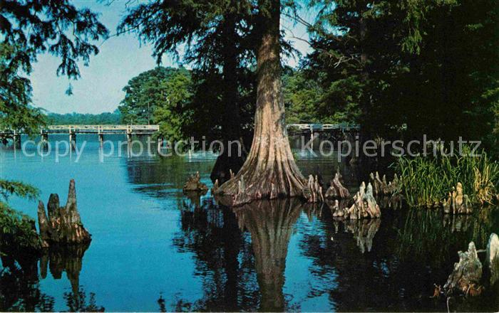 Tiptonville Reelfoot Lake