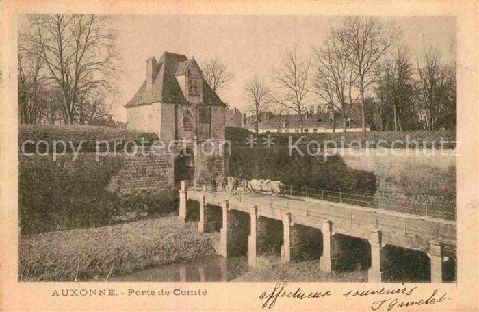 Auxonne Porte de Comte