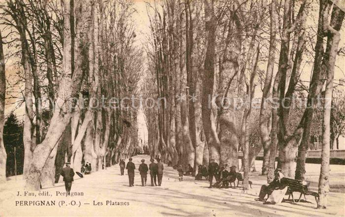 Perpignan Les Platanes