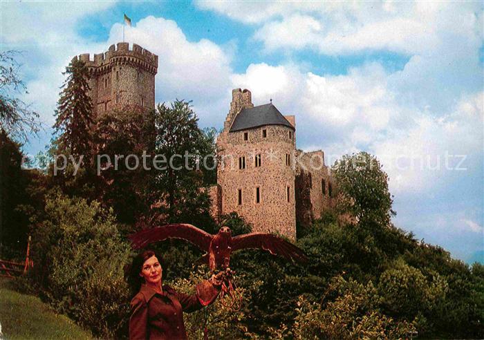 Pelm Adler- und Wolfspark Kasselburg